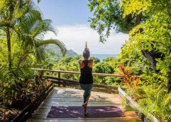 Wellness Retreats to Rejuvenate Body, Mind, and Soul