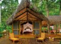 Eco-Hotels: Sustainable Stays, Green Travel Future