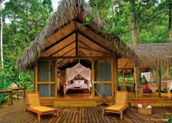 Eco-Hotels: Sustainable Stays, Green Travel Future